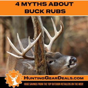 whitetail buck rub facts