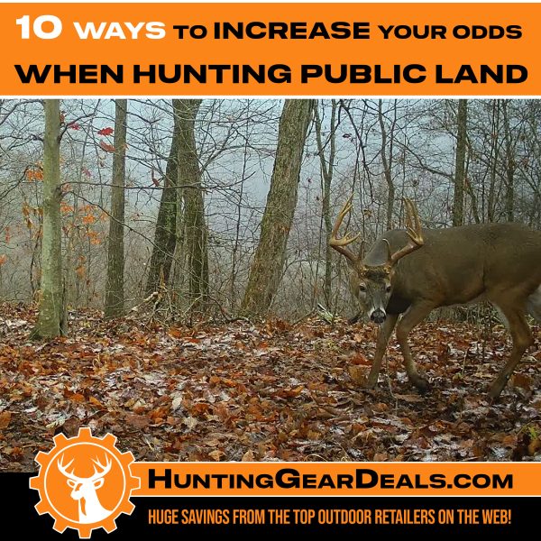 how to hunt public land