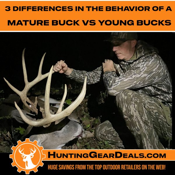 Differences Between Mature Bucks and Young Bucks