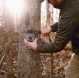 best price on spartan cameras