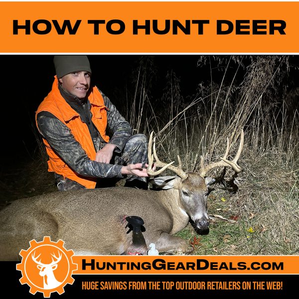 learn how to deer hunt
