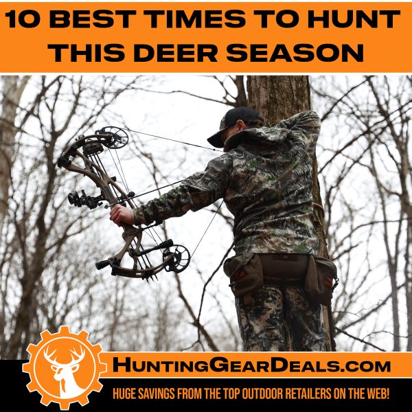 when is the best time to hunt deer