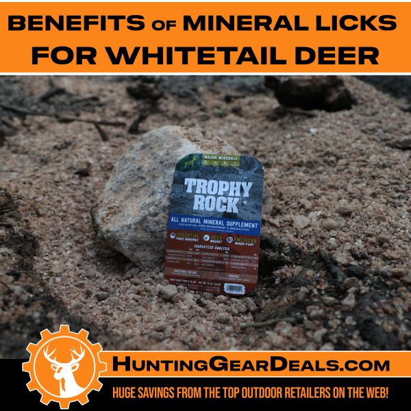 Benefits of Mineral Licks for Whitetail Deer