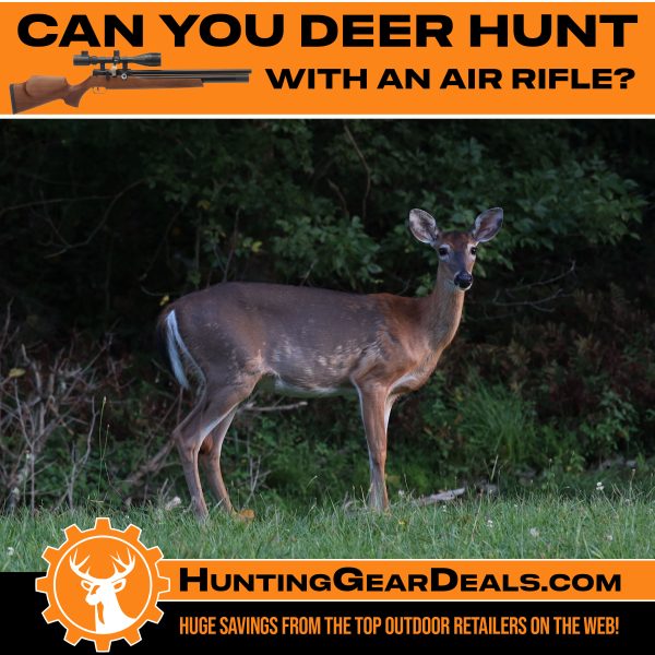 can you hunt big game with an air rifle
