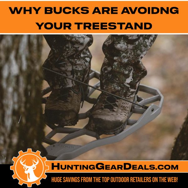 why bucks are avoiding your treestand