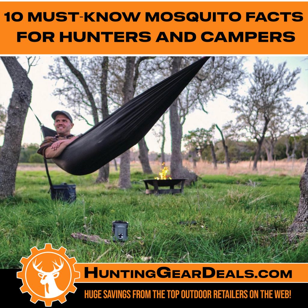 learn more about mosquitoes