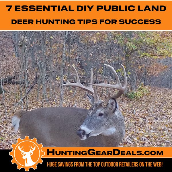 7 Essential DIY Public Land Deer Hunting Tips for Success