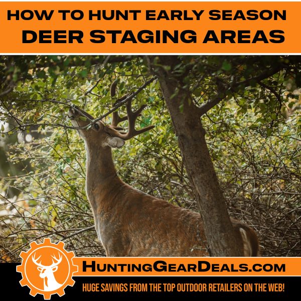 what is a Deer Staging Area