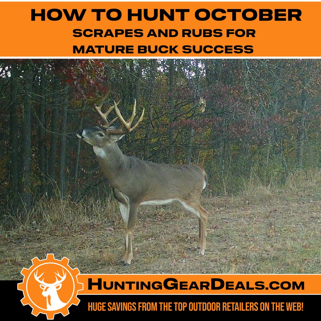 How to Hunt October Scrapes and Rubs for Mature Buck Success