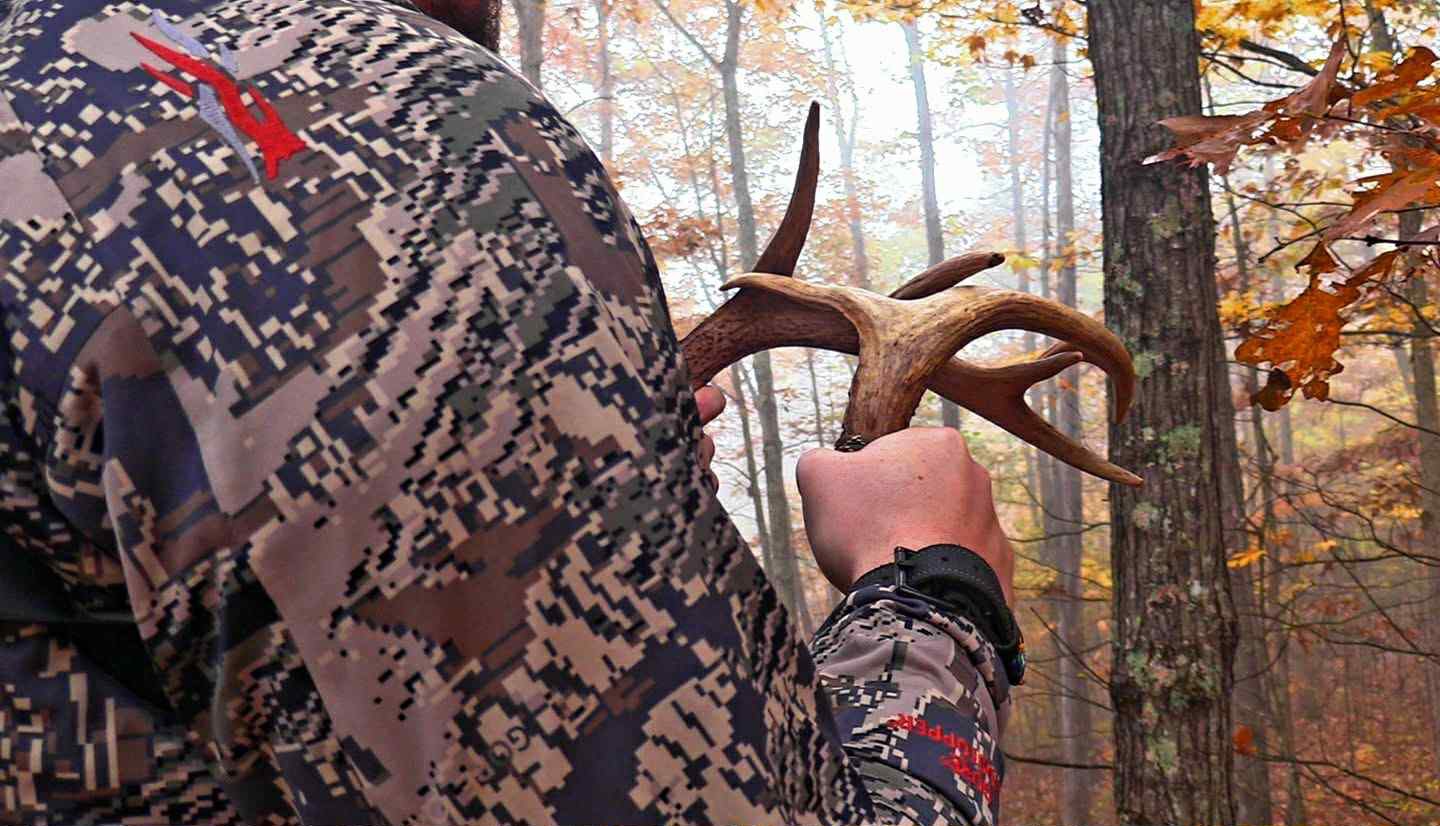 rattling and calling for deer