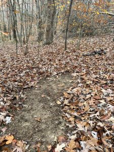big deer scrape