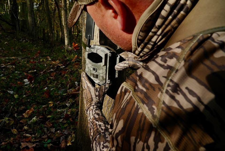 whitetail frenzy setting a spartan camera